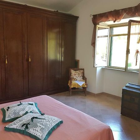 Zia Zelinda Bed & Breakfast Dego Екстериор снимка